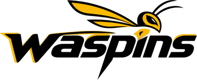 Waspins